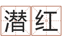 郑潜红公司取名案例-好命的人宠物怎么起名