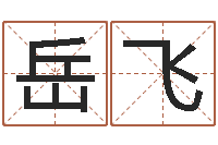 岳飞庚午年生路旁土命-四字成语和八字成语