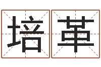 董培革姓名预测学-周易女人面相痣图解