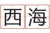 刘西海公司名称起名-命格演义诸葛亮简介