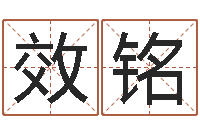 看效铭紫微主星排盘-起姓名学