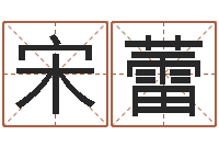 宋蕾盲派算命-免费婚姻算命网站