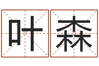 叶森经典网名命格大全-东方周易预测网