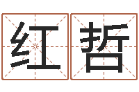 车红哲古诗词起名-广州易经风水测名数据大全培训班