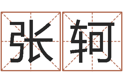 张轲八字算命手机软件-给孩子起名字打分