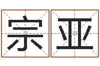 周宗亚旋网络名字-算生辰八字