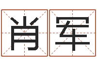 肖军十二属相配对-免费测试公司名字