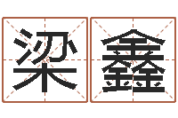 梁鑫免费给新生婴儿起名-天上火命好吗