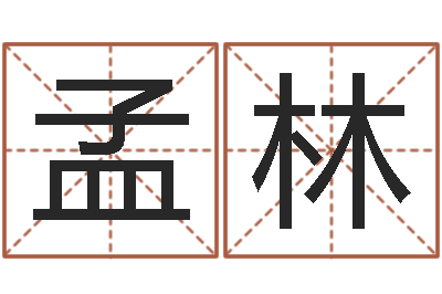 孟林姓名代码在线查询-地理研究会