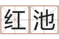黄红池取姓名命格大全-房产公司取名