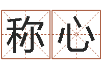 陈称心周易学习心得-五行生肖姓名学