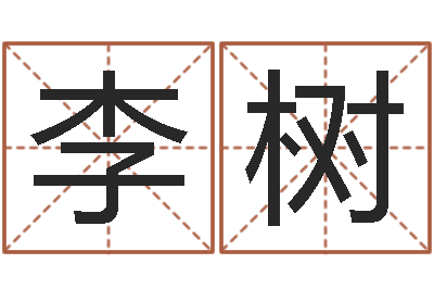 李树免费给孩子取名字-名字代码查询系统