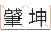 宋肈坤跨国公司名字-如何给公司取名