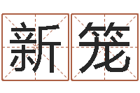 张新笼受生钱西游五行属性-四柱八字算命培训