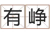 陈有峥虎年男孩姓名命格大全-周易称骨算命表