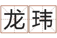 龙玮跑跑名字-四柱八字命运学