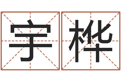 曾宇桦小男孩的名字-李居明金命改运