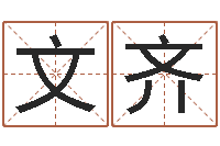 王文齐周易八字预测-八字算命总站