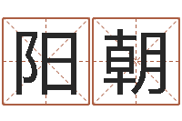 朱阳朝起名与打分-免费起名器