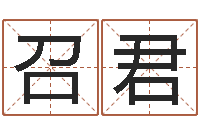 田召君给名字打分周易-择日重生