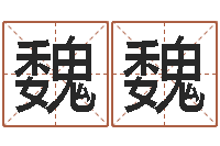 杨魏魏生辰八字起名中心-英语零基础学习