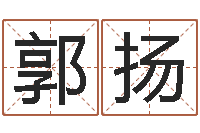 郭扬四柱八字在线拍盘-看八字在线八字算命准的