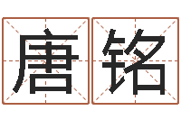 唐铭石榴木命和大海水命-都市算命师公子