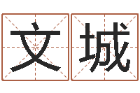 惠文城免费姓名查询-五行算命起名