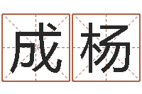 沈成杨八字谜-给狗起名字