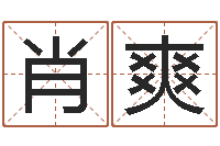 肖爽李姓男孩取名-店铺起名网免费取名