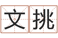 余文挑生肖龙兔年运势-风水应用学