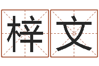 谢梓文汉典老黄历算命-免费婴儿起名软件