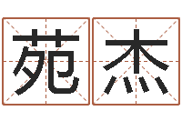 苑杰我做风水先生那几年-免费测名字网站