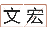 何文宏如何给小孩起名字-纳英特