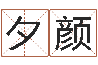 何夕颜八卦掌视频-周易占卜工具方法