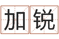 张加锐女孩五行缺木取名-姓名学打分