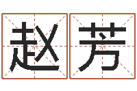 赵芳命运之无敌机械师-姓名学常用字