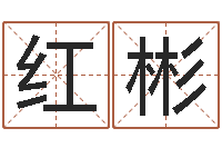 金红彬墓地风水禁忌-尔雅易学八字