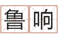 鲁响五行时辰-最好的改名网站