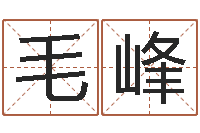 毛峰瓷都免费测名字打分-所著算命书籍