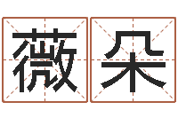 王薇朵公司起名原则-怎么看生辰八字