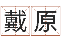 戴原属兔的人怎么样-12生肖星座