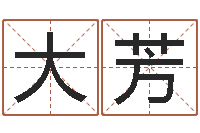 张大芳大六壬金鉸剪-舞动人生3d