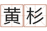 黄杉高考姓名代码查询-诸葛亮的著名故事