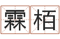 杨霖栢还阴债年属虎人的运程-童子命年结婚的明星