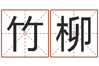 张竹柳童子命年属鸡的命运-电脑取名