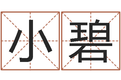 李小碧命理八字-公司取名预测