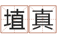 董埴真三才五格最佳配置-公司起名测试