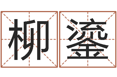 柳鎏给小男孩取名字-李姓小孩起名