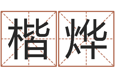 何楷烨逆天调命斗魂师-三合风水学入门